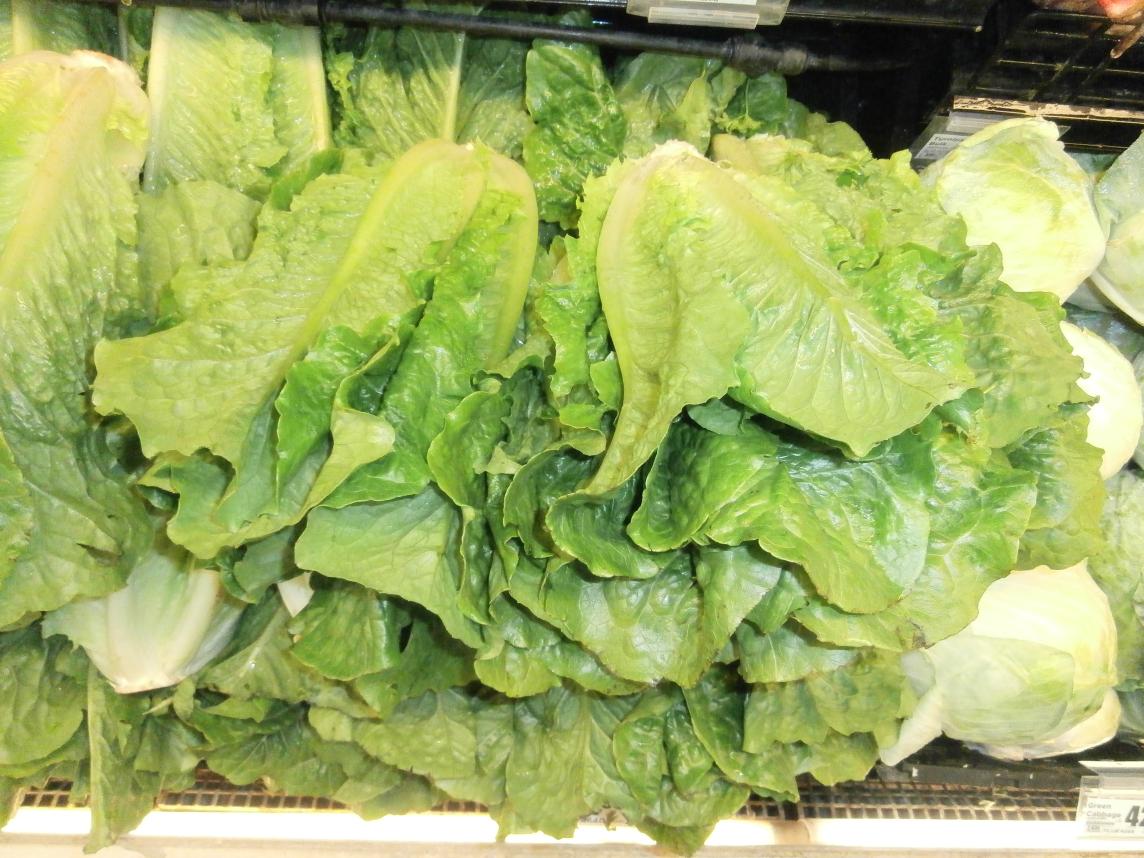 Romaine Hearts