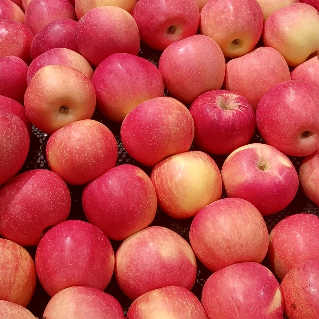 What to put in a fresh fruit basket