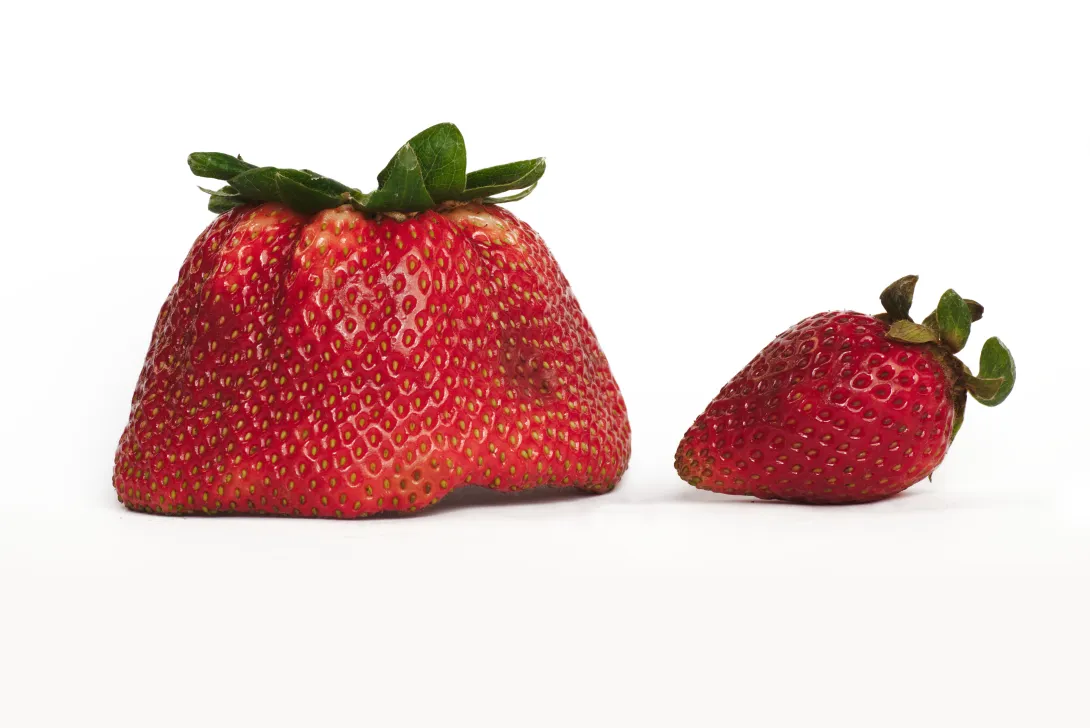 How to keep produce fresh longer